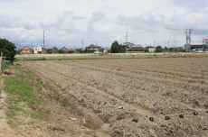 IMG_3324 IMG_3324