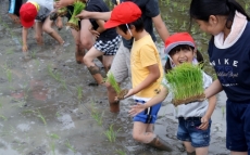 IMG_7398 IMG_7398