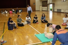 IMG_8224 IMG_8224