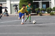 IMG_9088 IMG_9088