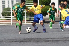 IMG_9101 IMG_9101