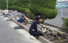 IMG_9264 IMG_9264