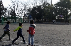 IMG_1252 IMG_1252