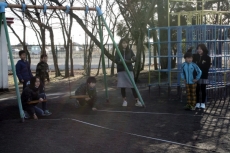 IMG_1263 IMG_1263