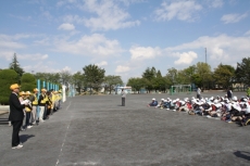 IMG_2979 IMG_2979