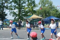 IMG_3928 IMG_3928