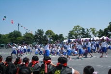 IMG_4153 IMG_4153