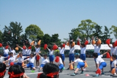IMG_4172 IMG_4172