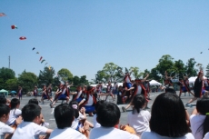 IMG_4199 IMG_4199