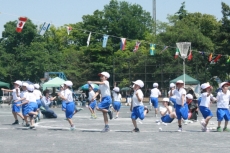 IMG_4252 IMG_4252