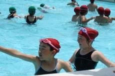 IMG_5024 IMG_5024