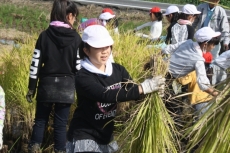 IMG_7658 IMG_7658