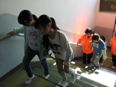 IMG_2868 IMG_2868