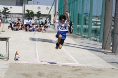 IMG_3716 IMG_3716