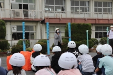 IMG_2629 IMG_2629