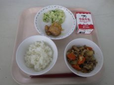 RIMG8133