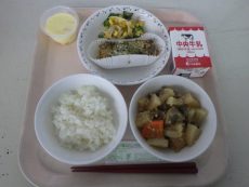 RIMG8337