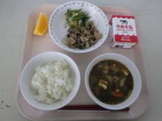 RIMG0533