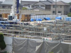 RIMG0609