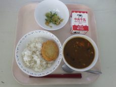 RIMG1074