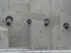 RIMG1134