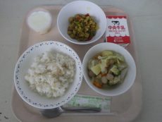 RIMG1373